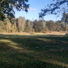 Działka Nowosiedliny