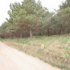 Duża działka z potencjałem - Długie, gm. Kalinowo pow. 1,177 ha