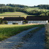 Działka Puńców