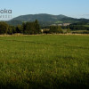 Działka Puńców