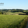 Działka Puńców