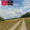 Działka Konarzyny ul.  