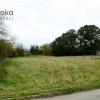Działka Wilcza