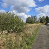 Działka Preczów