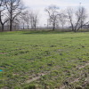 Działka Wilcza