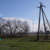Działka Wilcza
