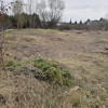 Działka Grodków