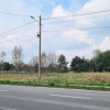 Działka Kolonia Bogoria ul.  