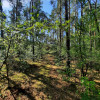 Działka Aleksandrów