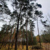 Działka Aleksandrów