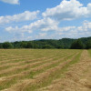 Działka BUDOWLANA, Bieszczady, Bóbrka, k. SOLINA    -   64 ary