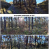 Nieruchomość - Popów