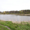 5,42 ha, Stawy rybne, las, Zemborzyce, Lublin