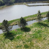 Dom, agroturystyka, stawy, 6.81ha, Lublin