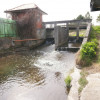 5,42 ha, Stawy rybne, las, Zemborzyce, Lublin