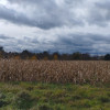Przetarg - obręb Sławoszowice