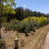 Działka Badowo-Dańki ul.  