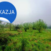 Zawonia – działki pod dewelopera | 1,88 ha