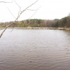 5,42 ha, Stawy rybne, las, Zemborzyce, Lublin