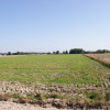 Duża działka nad jeziorem Krasne pod inwestycję