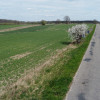 Wojszyn - działka budowlana 3163 m² z MPZP