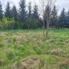 Duża działka w Bystrzycy 3616m2