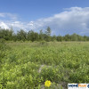 Działka usługowo-mieszkaniowa 999 m²