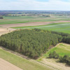 Działka Pniewo
