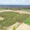 Działka Pniewo