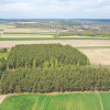 Działka Pniewo