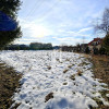 Działka Skołyszyn