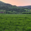 Nieruchomość - Wambierzyce