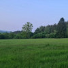 Nieruchomość - Wambierzyce