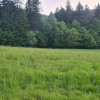 Nieruchomość - Wambierzyce