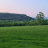 Nieruchomość - Wambierzyce