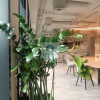 Lokal Warszawa Śródmieście ul. Nowogrodzka