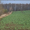 Nieruchomość - Krzanowice