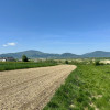 Działka w Pietrzykowicach z widokiem na góry