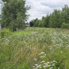 Działka Zendek