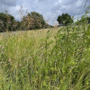Działka przemysłowa 2270 m² z dojazdem asfaltowym