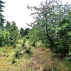 Dom Rybnik