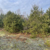 Działka 1050 m² pod zabudowę letniskową.