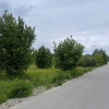 Działka 879 m² – media w drodze, las, SKM.