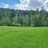 Targoszów | działka 2350 m2 | spokój | las | góry