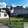 SUPER LOKALIZACJ/BARDZO NISKIE KOSZTY UTRZYMANIA