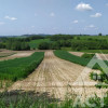 Rolna z potencjałem, rekreacja, 1ha, Kraków 15km