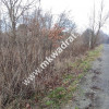 ⭐⭐⭐⭐  Działka Budowlana 1122 m Budy Grzybek ⭐⭐⭐⭐