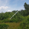 ⭐⭐⭐⭐⭐ Działka 4000  m²  - usługowo-budowlana MPZP!