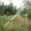 ⭐⭐⭐⭐⭐ Działka 4000  m²  - usługowo-budowlana MPZP!