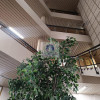 Lokal Warszawa Wola ul. Towarowa
